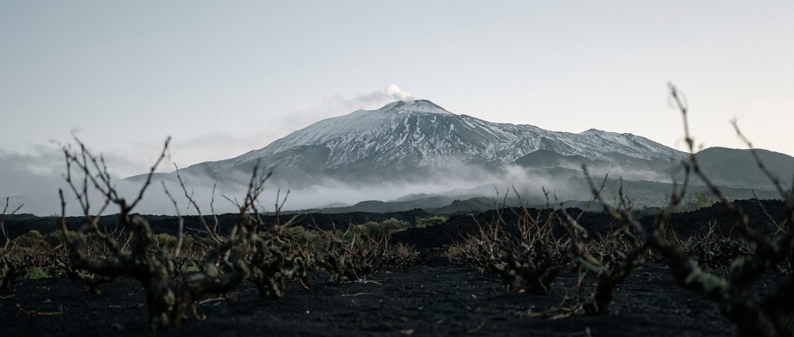 L'Etna innevato sopra i vigneti ad alberello su sabbia lavica nera